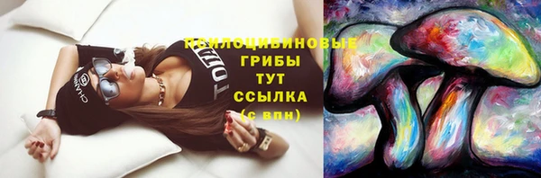 стаф Гусиноозёрск