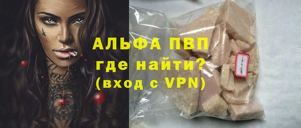 дмт Гусев