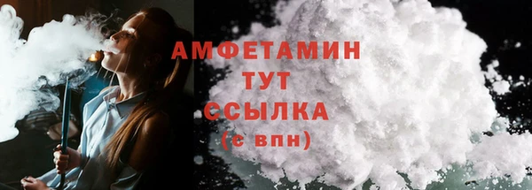 дмт Гусев