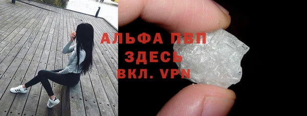 дмт Гусев