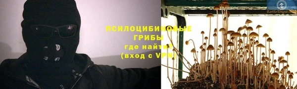дмт Гусев