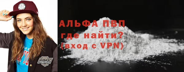 дмт Гусев