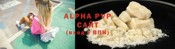 стаф Гусиноозёрск