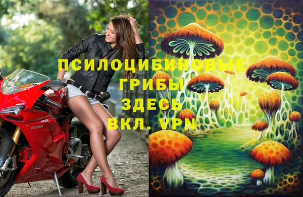 jwh Гусь-Хрустальный