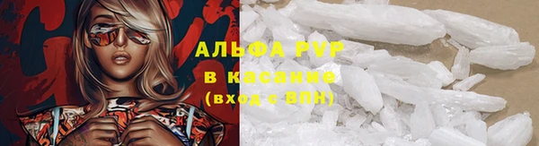 дмт Гусев