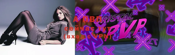 стаф Гусиноозёрск