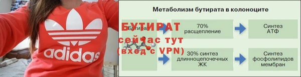 дмт Гусев