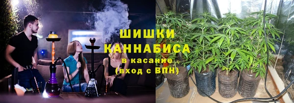 дмт Гусев