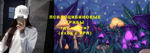 стаф Гусиноозёрск