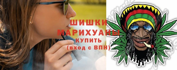 дмт Гусев
