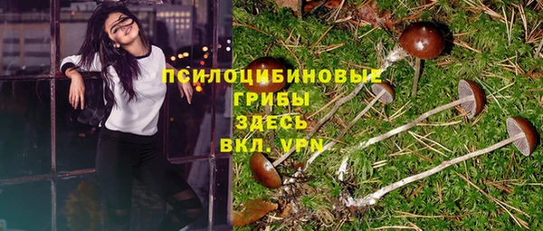 стаф Гусиноозёрск
