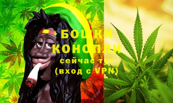 дмт Гусев