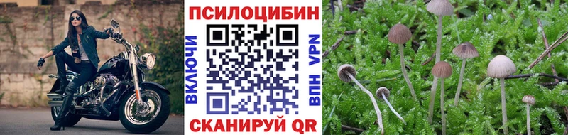Галлюциногенные грибы Psilocybe  Дубовка 